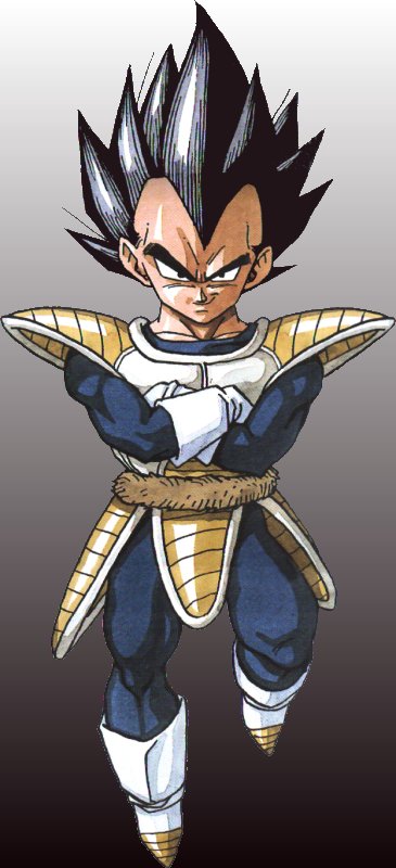 Some day I shall rule over planet earth as the worlds strongest Super Saiyan!